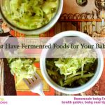 11 Must Have Fermented Foods for Your Baby’s Gut