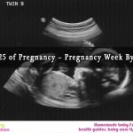 Week 25 of Pregnancy – Pregnancy Week By Week