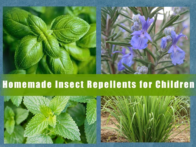 insect repellents