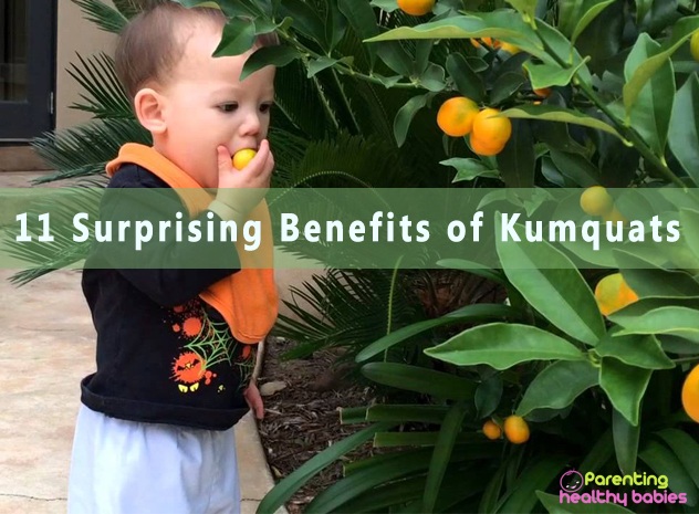 kumquats fruit