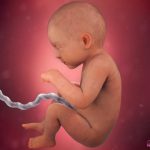 week 33 pregnancy
