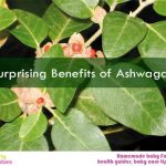 15 Surprising Benefits of Ashwagandha