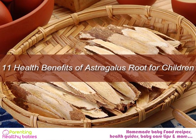 Astragalus Root