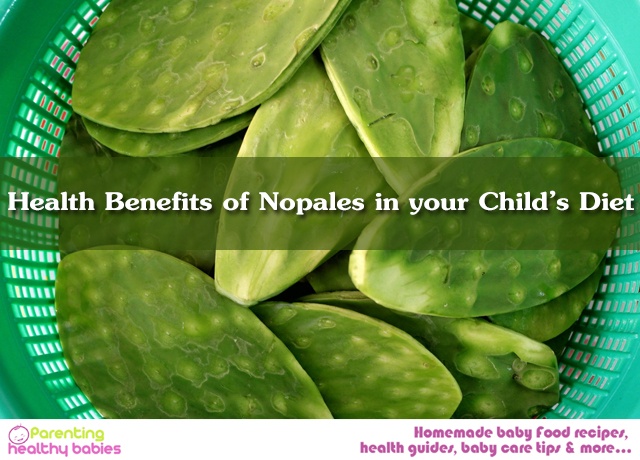 Benefits of Nopales