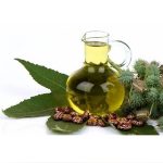 Castor Oil for Hair Growth: Ultimate Guide