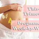 third trimester guide