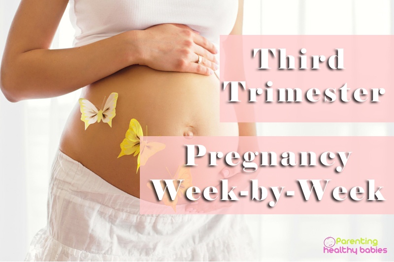 third trimester guide