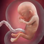 week 13 of pregnancy