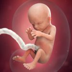 week 14 (1)