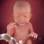 week 24 of pregnancy