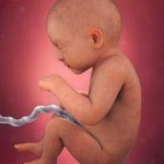 week 33