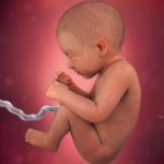 week 34