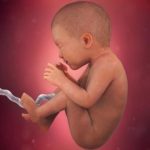week 35