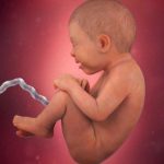 week 36