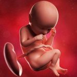 week 37