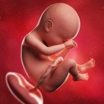week 38
