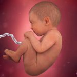 week 39 pregnancy