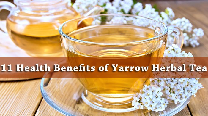 yarrow tea benefits