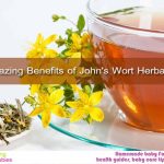 11 Amazing Benefits of John’s Wort Herbal Tea 