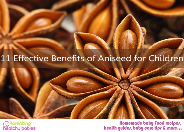 Aniseed for Children