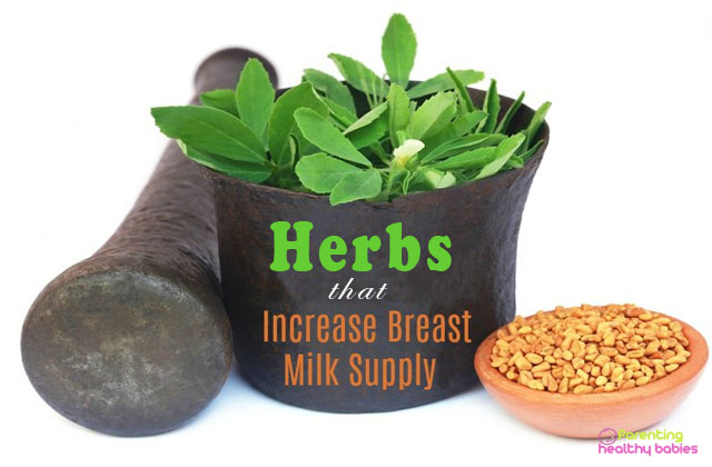 herbs that increase breast milk
