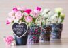 mother's day gift ideas