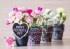 mother's day gift ideas