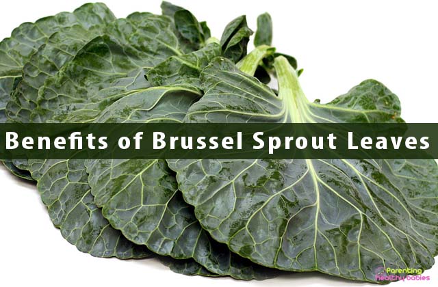 Benefits of Brussel Sprout Leaves
