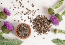 milk thistle during pregnancy