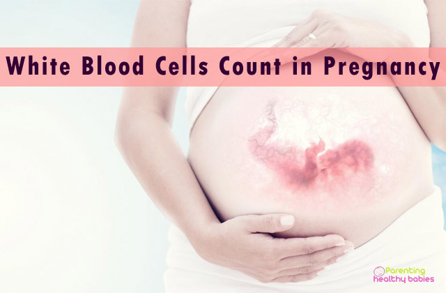 white blood cells count in pregnancy