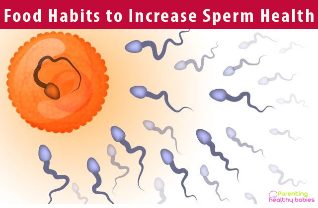 Food Habits to Increase Sperm Health