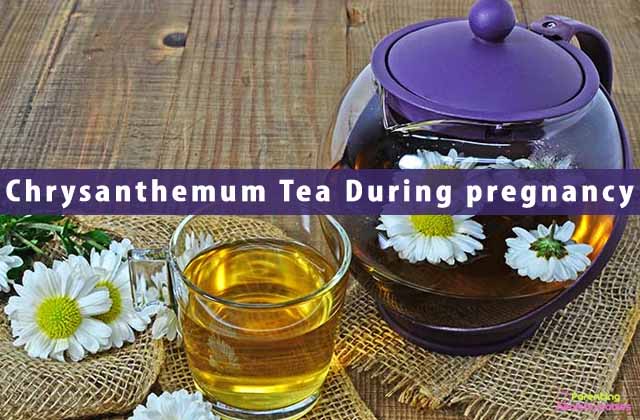 Guide for Chrysanthemum Tea During pregnancy