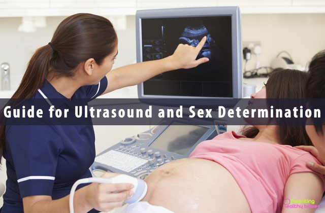 Guide for Ultrasound and Sex Determination