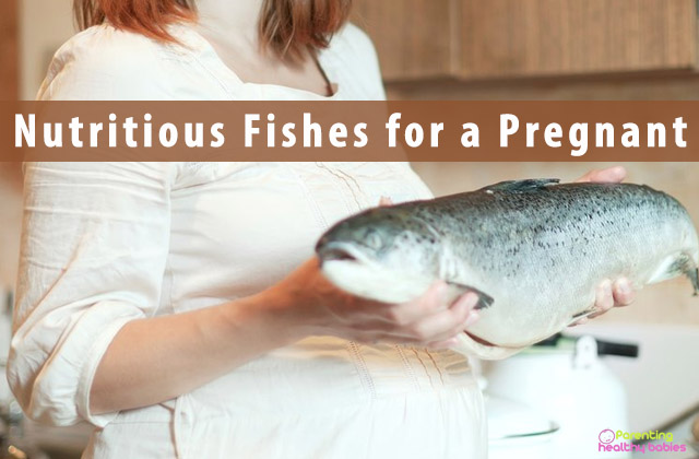 Nutritious Fishes for a Pregnant Woman