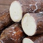 cassava