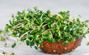 microgreens benefits