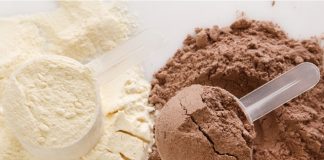 healthy protein powder for pregnancy