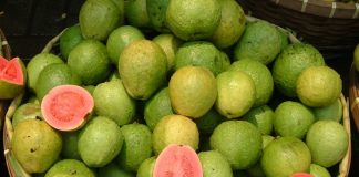 guava