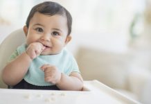 sensorimotor stage