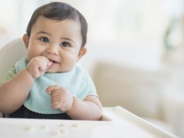 sensorimotor stage