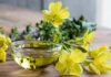 evening primrose oil