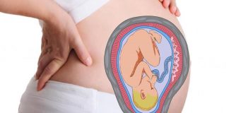 tilted uterus