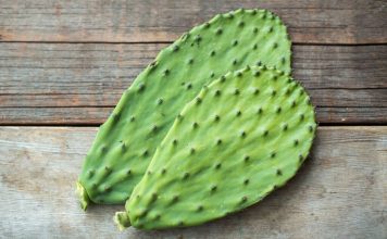 cactus juice