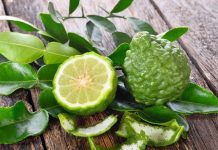 kaffir lime