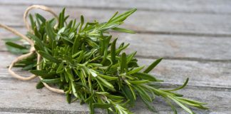 rosemary