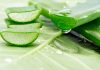 aloe vera for hair