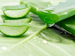 aloe vera for hair