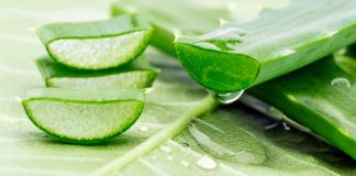 aloe vera for hair