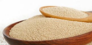 brewers yeast