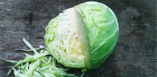 cabbage juice
